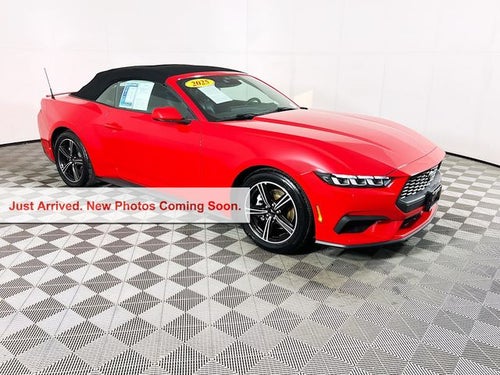 2025 Ford Mustang EcoBoost Premium