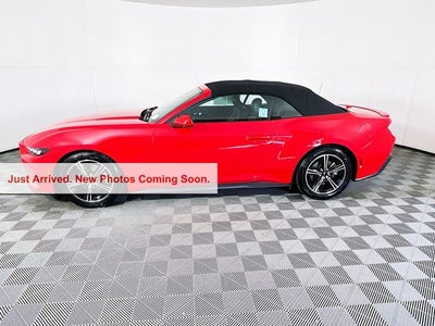 2025 Ford Mustang EcoBoost Premium