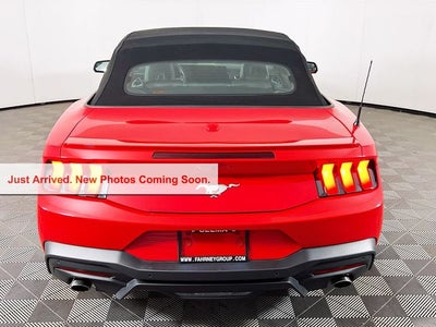 2025 Ford Mustang EcoBoost Premium