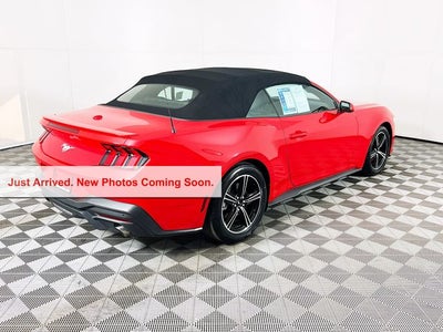 2025 Ford Mustang EcoBoost Premium