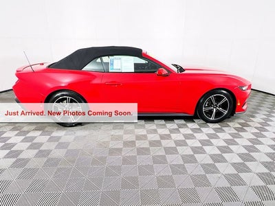 2025 Ford Mustang EcoBoost Premium