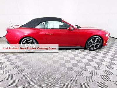 2024 Ford Mustang EcoBoost Premium