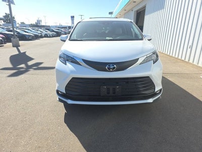 2026 Toyota Sienna XLE 7 Passenger