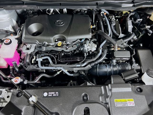 2025 Toyota Sienna XLE 8 Passenger