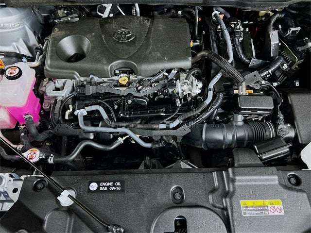 2025 Toyota Sienna XLE 8 Passenger