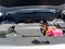 2026 Hyundai PALISADE HYBRID SEL 7P